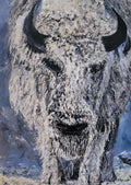 Queen Bison